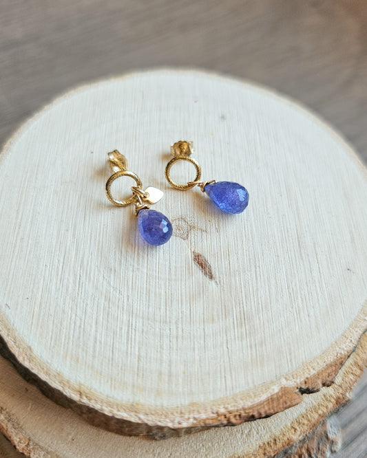Orecchini con Tanzanite
