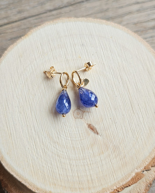 Orecchini con Zaffiri Blu